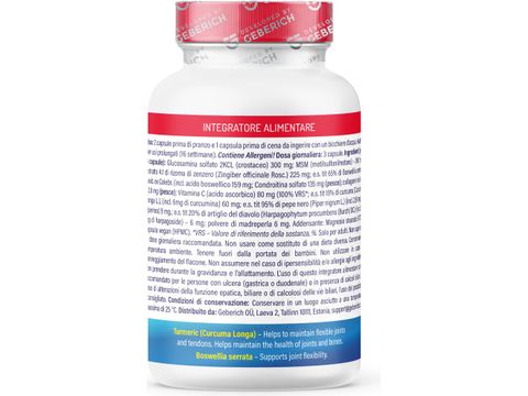 Artroflex Active
