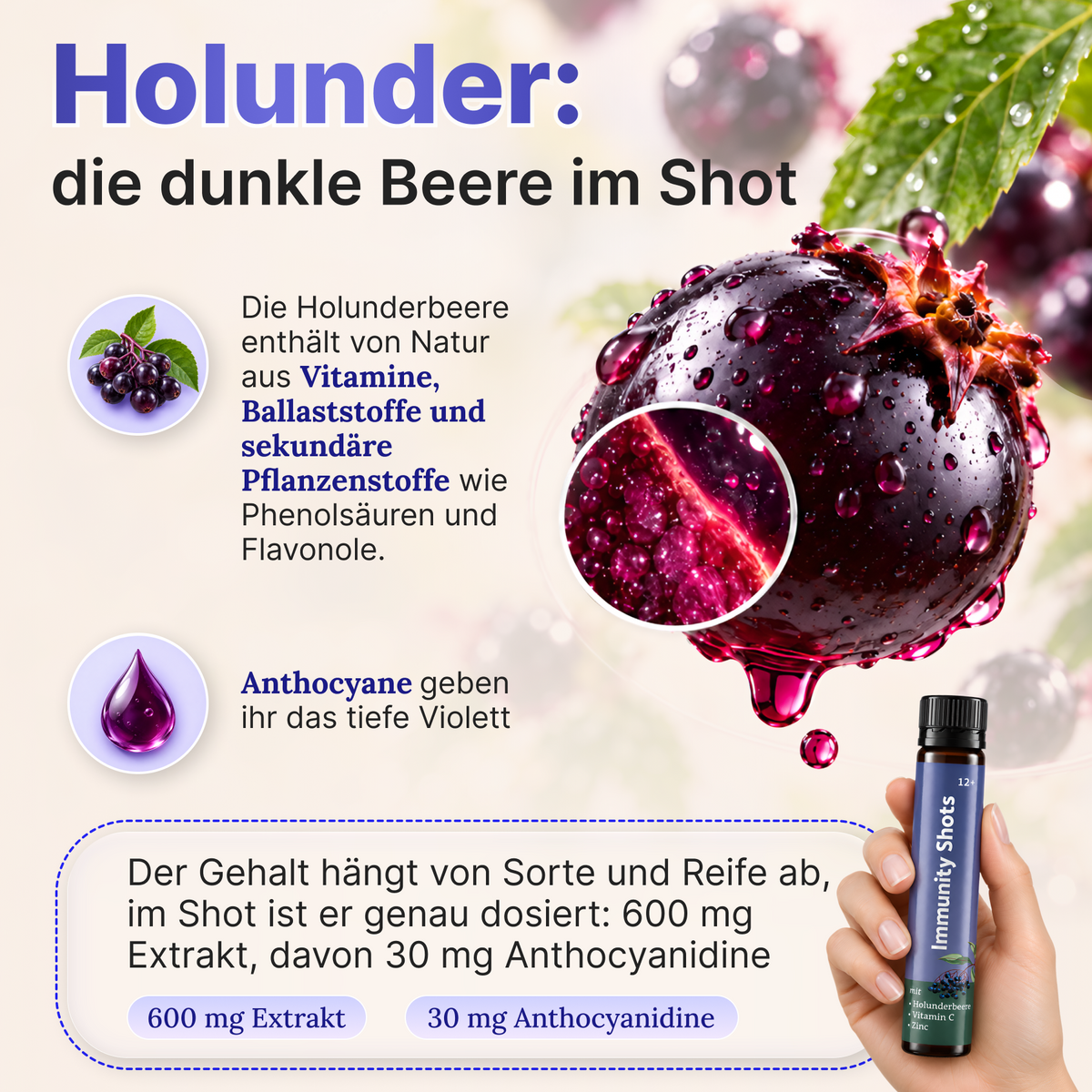 Immuno-Shots bottle with Beta Glucans, Elderberries, Vitamin C, and Zinc from geberich.eu, shown with the product label.